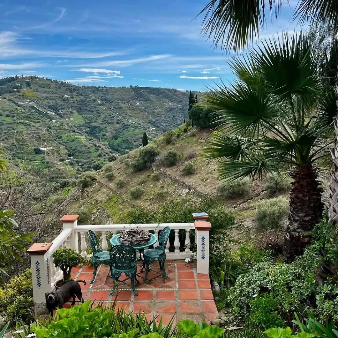 B&B Finca Conchales Torrox